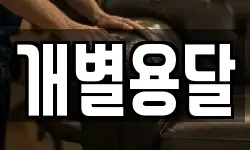 개별용달