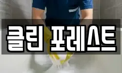 클린 포레스트