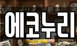 에코누리