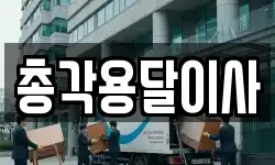 총각용달이사