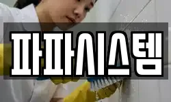 파파시스템