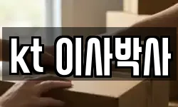 kt 이사박사