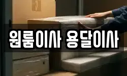 경상남도 창원시 성산구 반림동 이사,용달이사,포장이사,원룸이사,보관이사