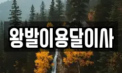 왕발이용달이사