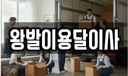 왕발이용달이사