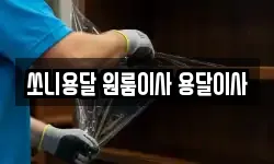 경상남도 창원시 성산구 상남동 이사,용달이사,포장이사,원룸이사,보관이사