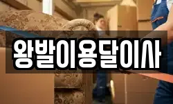 왕발이용달이사