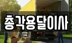 총각용달이사