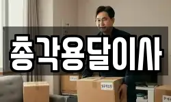 총각용달이사