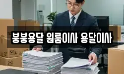 경상남도 창원시 성산구 안민동 이사,용달이사,포장이사,원룸이사,보관이사