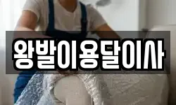 왕발이용달이사