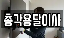 총각용달이사