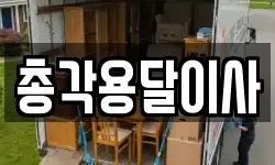 총각용달이사