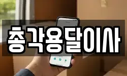 총각용달이사