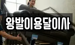 왕발이용달이사