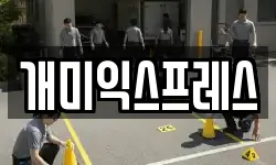 개미익스프레스