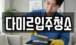 다미르입주청소