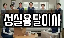 성실용달이사