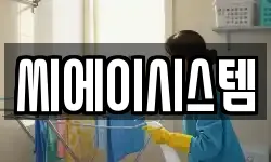 씨에이시스템