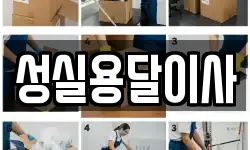 성실용달이사