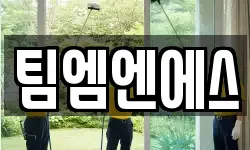 팀엠엔에스