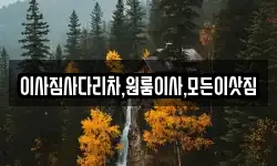 이사짐사다리차,원룸이사,모든이삿짐