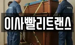 이사빨리트랜스