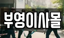 부영이사몰