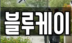 블루케이