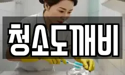 청소도깨비