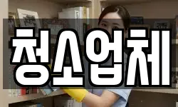 청소업체