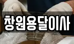 창원용달이사