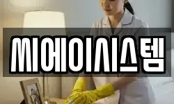 씨에이시스템