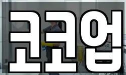 코코업