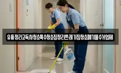 경상남도 창원시 진해구 비봉동 청소,입주청소,사무실청소,에어컨청소