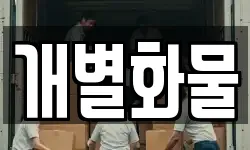 개별화물