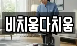 비치움다치움