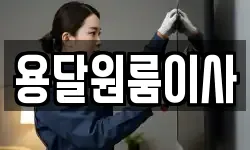 용달원룸이사