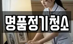 명품정기청소