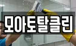 모아토탈클린