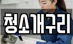 청소개구리
