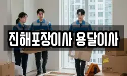진해포장이사 용달이사