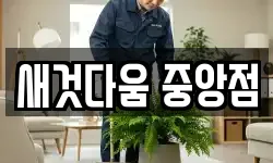 새것다움 중앙점