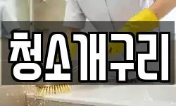 청소개구리