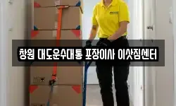 창원 대도운수대통 포장이사 이삿짐센터