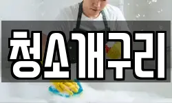 청소개구리
