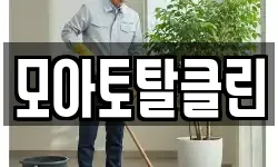 모아토탈클린