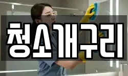 청소개구리