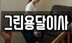 그린용달이사