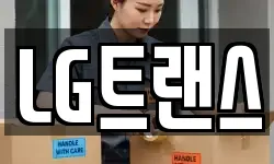 LG트랜스